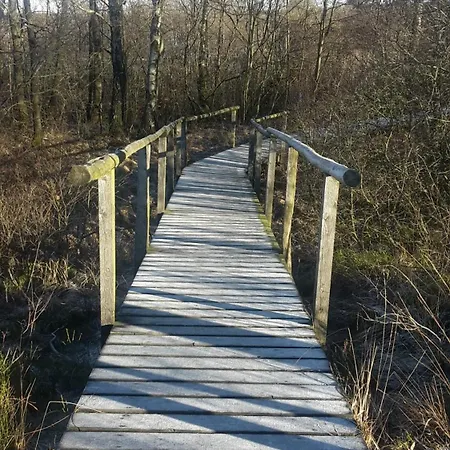 Hohes Venn * Monschau